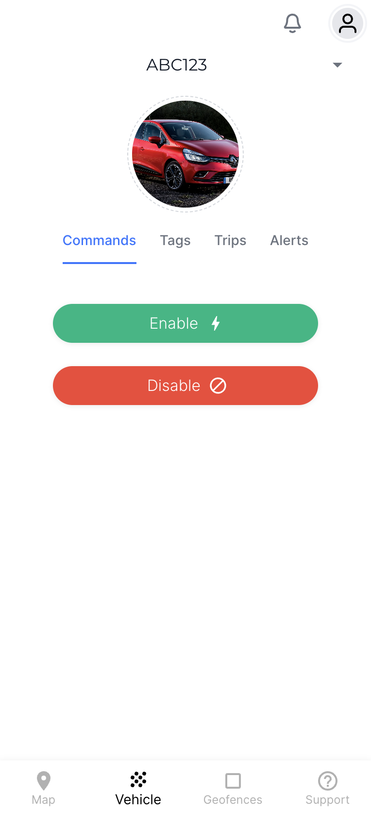 Remote command interface
